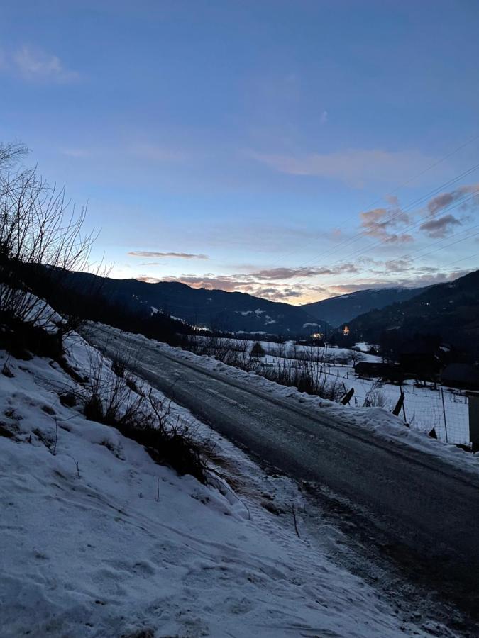 Hillside Chalet Kreischberg 穆劳附近圣洛伦岑 外观 照片